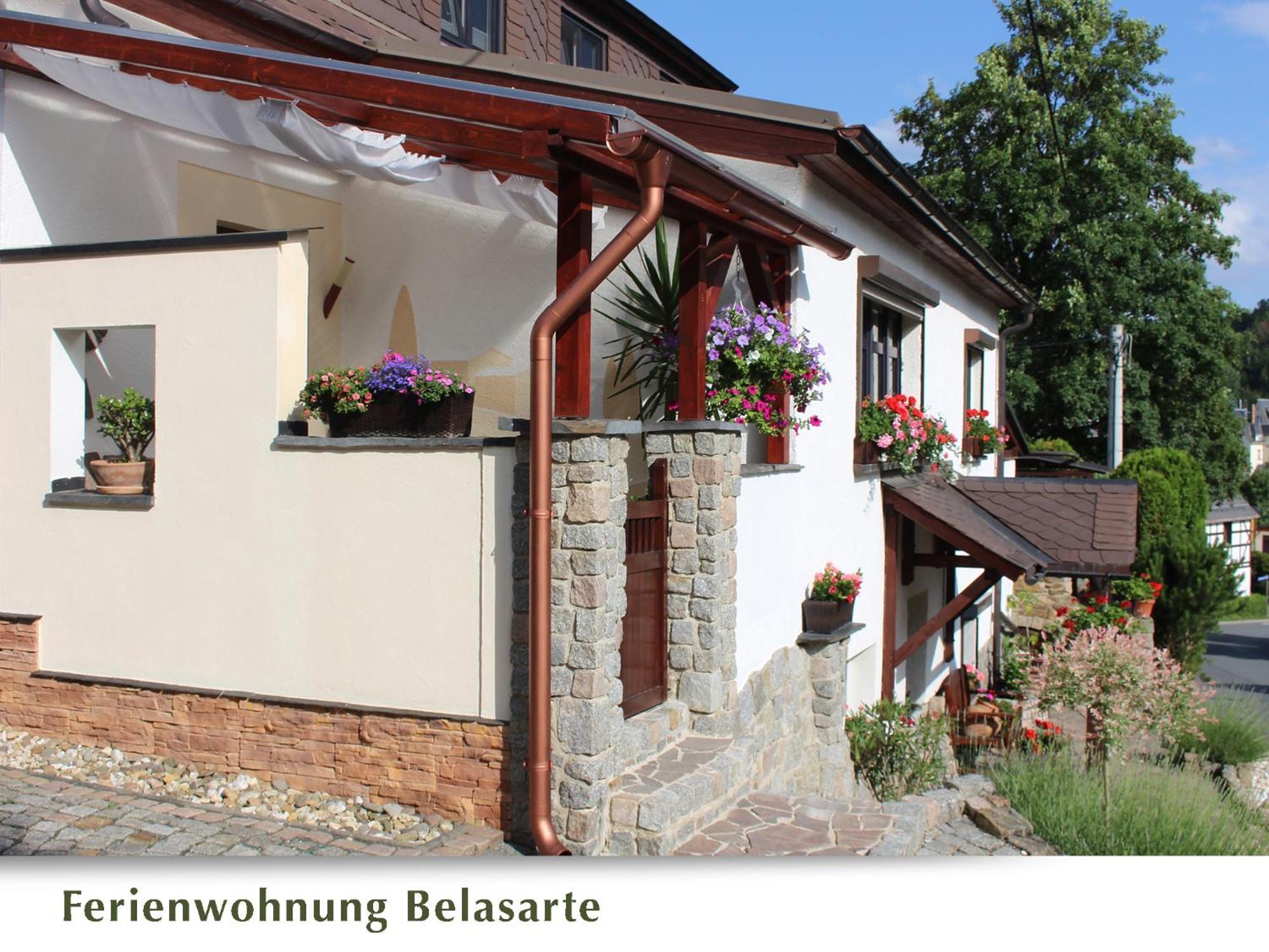 Ferienwohnung Belasarte Bad Elster Zewnętrze zdjęcie