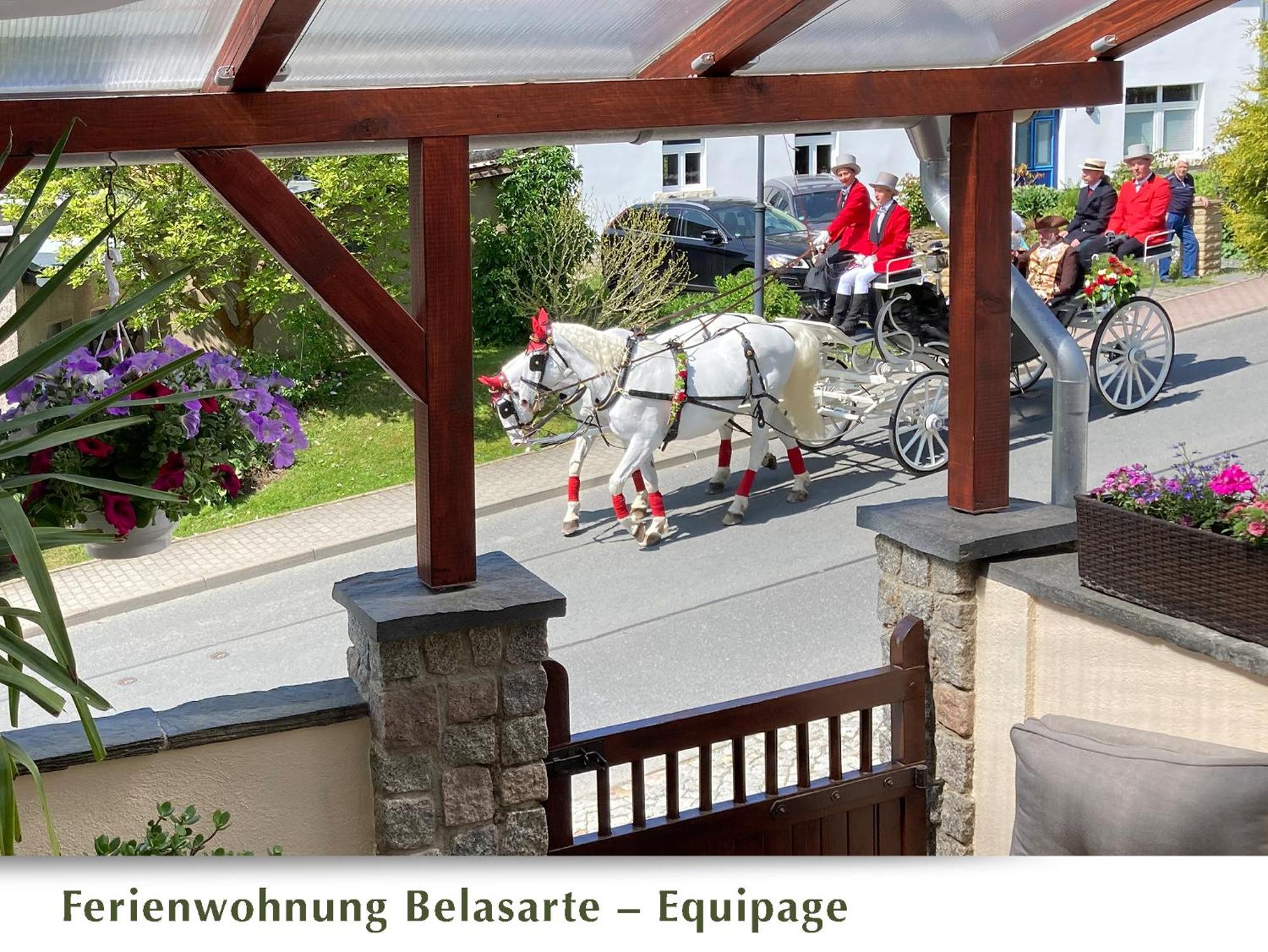 Ferienwohnung Belasarte Bad Elster Zewnętrze zdjęcie